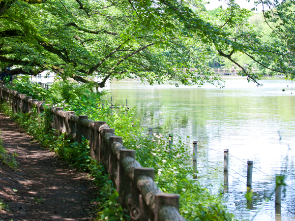 Surrounding environment. Inokashira Park (about 1610m / 21 minutes walk)