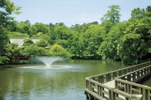 Other. "Mitaka Tokyo Kichijoji, Where both use was looking for in the vicinity of the charm, "" favorite Kichijoji of town "(Photo: Inokashira Park ・ About 1610m)