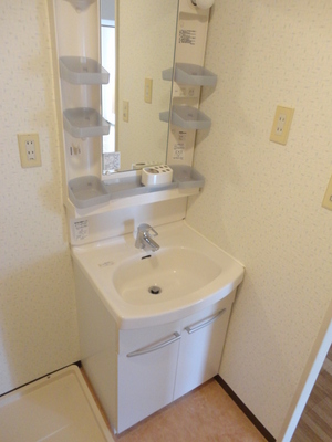 Washroom. Wash basin