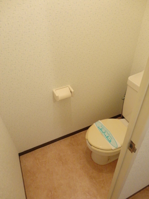 Toilet. Clean toilet