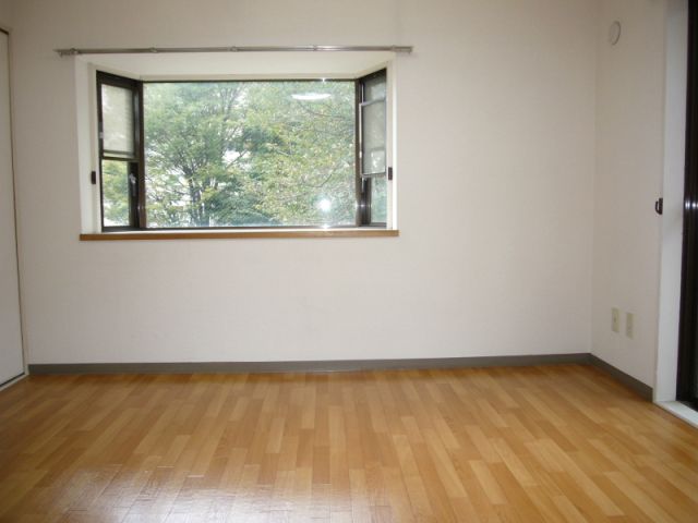 Living and room. 2 side lighting of the room