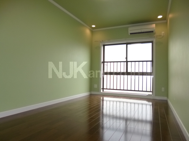 Living and room. With indirect lighting