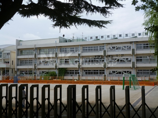 Primary school. 548m to Musashino Municipal fifth elementary school (elementary school)