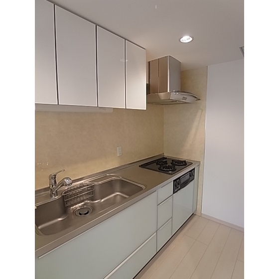 Kitchen. Easy-to-use system Kitchen