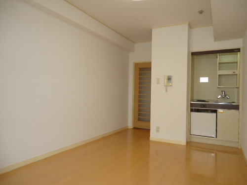 Living and room. Western style room, kitchen