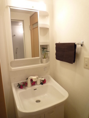 Washroom. Easy to clean with shampoo dresser