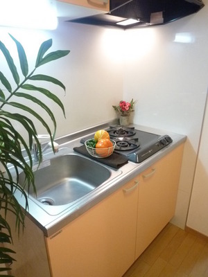 Kitchen. System Gasukitchin