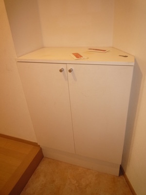 Entrance. Shoe box! ! 