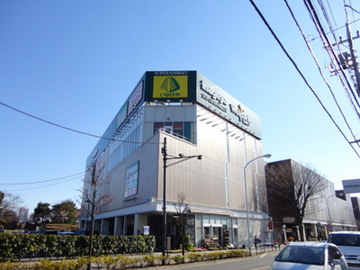 Supermarket. Inageya to (super) 1600m