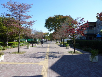 park. 300m to Central Park Musashino (park)