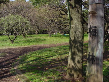 park. 200m to Koganei Park (park)