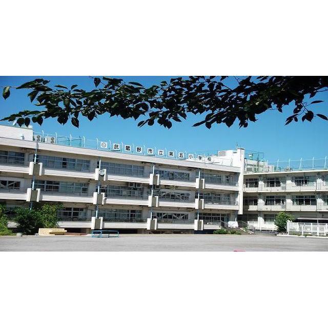 Primary school. 557m to Musashino Municipal fifth elementary school