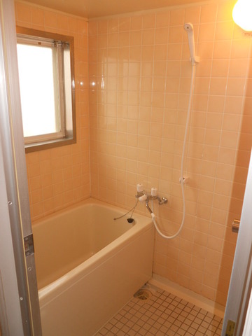 Bath. The bathroom is equipped with a window! 