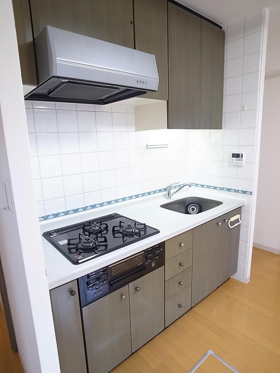 Kitchen. Indoor (September 2013) Shooting