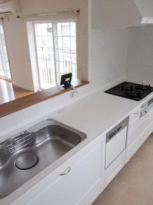 Kitchen. Gas stove system Kitchen