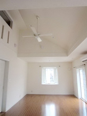 Living and room. Living 14.2 Pledge