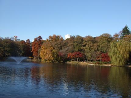 park. To Inokashira Park 1200m