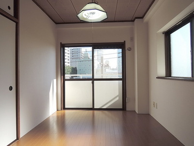 Living and room. Two-sided lighting Sunny Western-style 6 Pledge