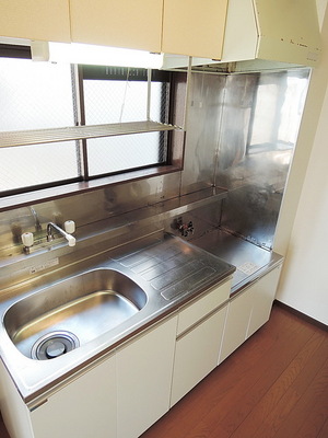 Kitchen. Two-burner gas stove installation Allowed Kitchen