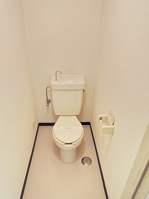 Toilet. Toilet