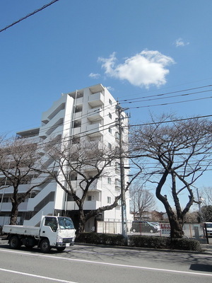 Building appearance. appearance