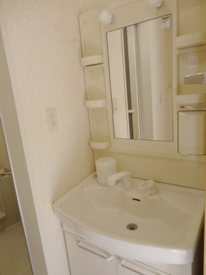 Washroom. Independent wash basin