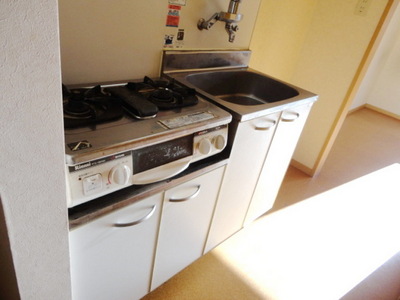 Kitchen. Stove installation type
