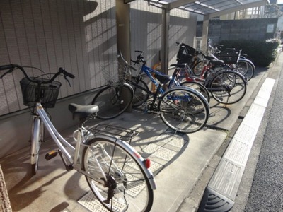 Parking lot. Place for storing bicycles