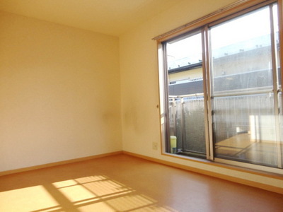 Living and room. Sunny