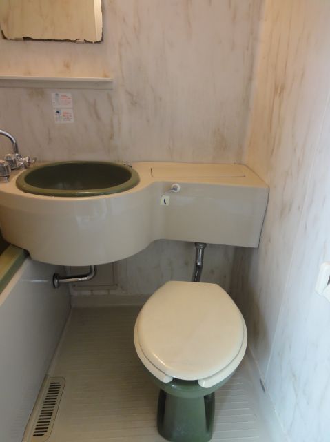 Toilet. Toilet