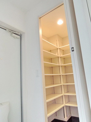 Entrance. Shoes-in closet