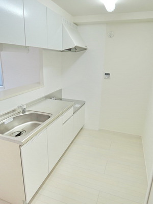 Kitchen. Wide-size kitchen 2100MM