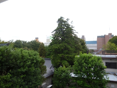 View. The south side is the view !! It is bright because before has opened the eyes! !