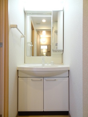 Washroom. Glad shampoo dresser in a busy morning