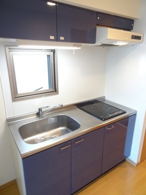 Kitchen. In a two-necked IH cooking heater, A wider range of dishes