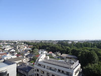 View. The view from the other rooms for reference