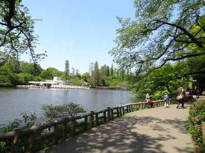 park. 800m to Inokashira Park (park)