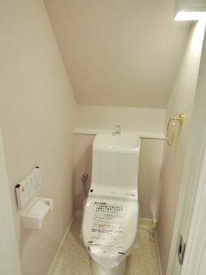Toilet. Remote-control shower toilet