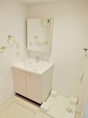 Washroom. Stylish wash basin