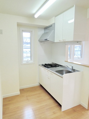 Kitchen. Two-burner gas system Kitchen