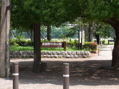 park. 650m to Central Park Musashino (park)