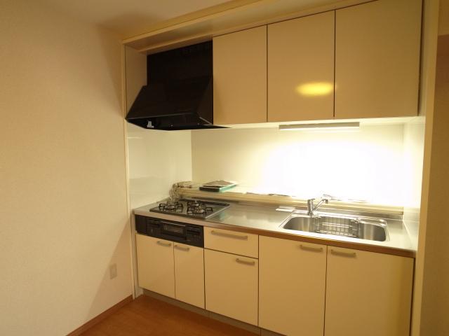 Kitchen. Indoor (11 May 2013) Shooting