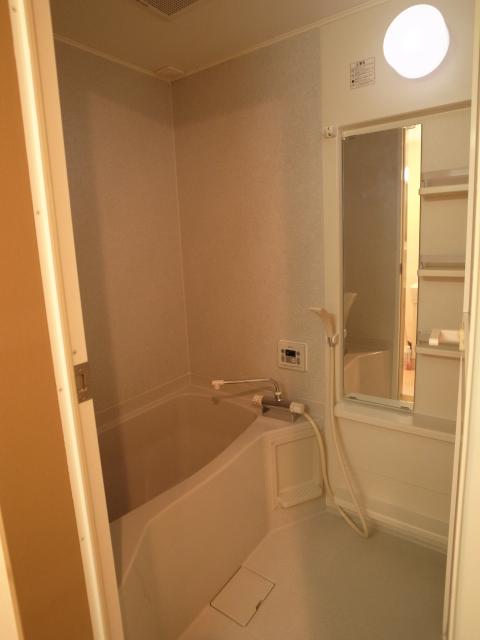 Bathroom. Indoor (11 May 2013) Shooting