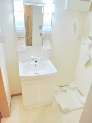 Washroom. Shampoo dresser