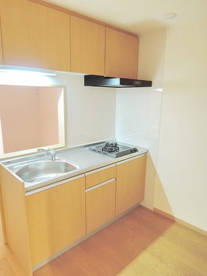 Kitchen. Two-burner gas system Kitchen