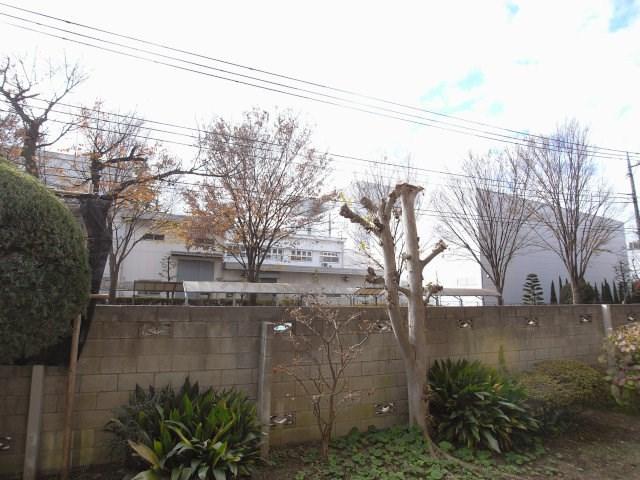 View photos from the dwelling unit. View from the balcony