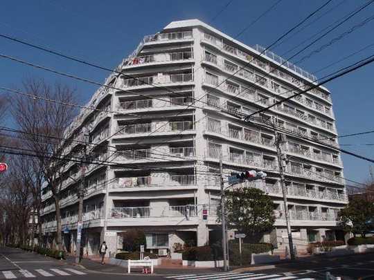 Local appearance photo. Appearance (2013 March 1 shooting)