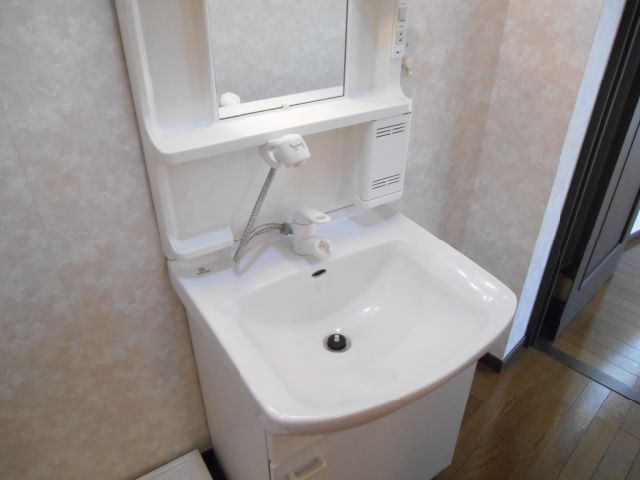 Washroom. With happy shampoo dresser