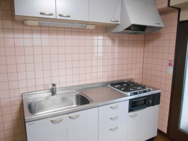 Kitchen. Gas stove is a 2-neck support system Kitchen