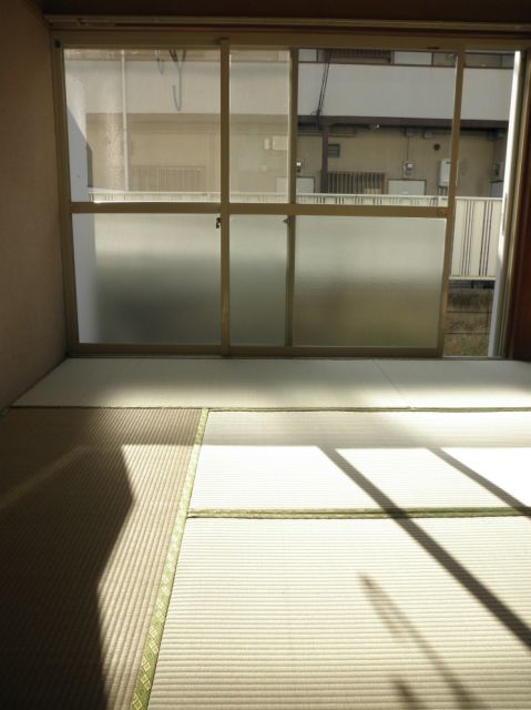 Living and room. Facing south in sunny